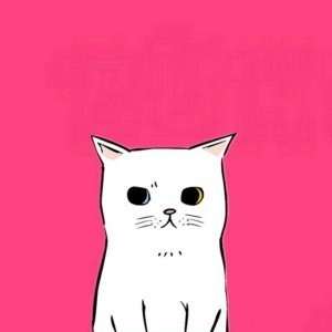 whatsapp怎么恢复聊天数据 whatsapp手机号换了运营商还是收不到验证码怎么办 