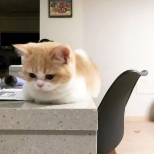 whatsapp二维码会自动失效吗 whatsapp删除和封锁区别 