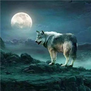 whatsapp怎么找外国客户 whatsapp网页版手机网页版 