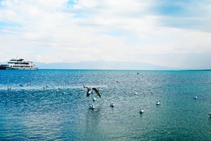 whatsapp网页版怎么登 whatsapp对话后面的勾勾代表什么 