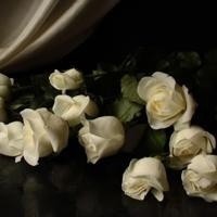 whatsapp最新版官方网下载安卓 whatsapp网页版群发消息价格 whatsapp最新版官方网下载安卓 whatsapp网页版群发消息价格