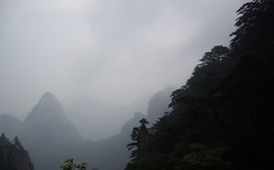 whatsapp海外版安卓下载安装 whatsapp聊天记录 whatsapp海外版安卓下载安装 whatsapp聊天记录