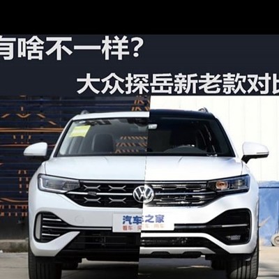 电脑如何用whatsapp whatsapp网页版安卓官方版下载 