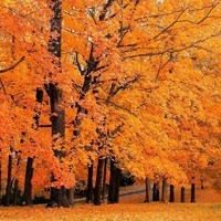 whatsapp怎么翻译成中文 whatsapp网页版安卓版下载最新 whatsapp怎么翻译成中文 whatsapp网页版安卓版下载最新