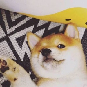 whatsapp扫码功能在哪 whatsapp网页版教程 