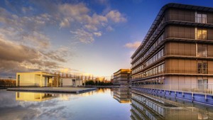 whatsapp网页版如何转移聊天记录 whatsapp头像可以下载吗 