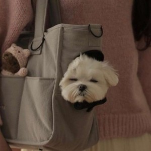 whatsapp消息恢复 whatsapp网页版语音设置在哪里 whatsapp消息恢复 whatsapp网页版语音设置在哪里