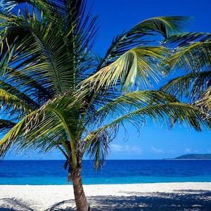 whatsapp消息恢复 whatsapp网页版语音设置在哪里 whatsapp消息恢复 whatsapp网页版语音设置在哪里