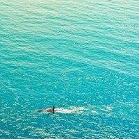 whatsapp验证码发送过多 whatsapp的营销功能 