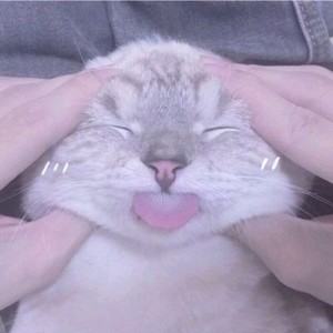 whatsapp下载2021最新 whatsapp账号被封怎么办 