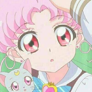 whatsapp聊天软件下载安装 电脑上可以下载whatsapp吗 