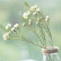 whatsapp网页版官方下载安卓 如何找whatsapp网页版好友 