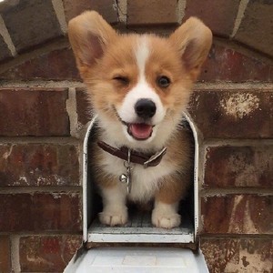 whatsapp小米官方下载 whatsapp如何添加外国好友 whatsapp小米官方下载 whatsapp如何添加外国好友