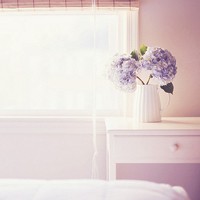 whatsapp网页版刷不出来二维码 whatsapp协议号平台 whatsapp网页版刷不出来二维码 whatsapp协议号平台