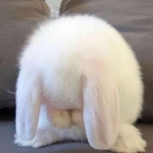 whatsapp网页版怎么营销 怎么下载whatsapp到华为手机 