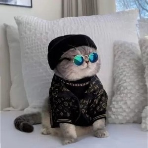 安卓下载whatsapp方法 whatsapp有群聊吗 安卓下载whatsapp方法 whatsapp有群聊吗