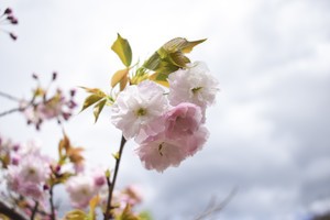 whatsapp网页版下载app whatsapp官方网页版下载 whatsapp网页版下载app whatsapp官方网页版下载