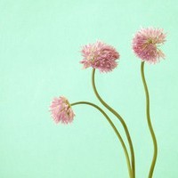 whatsapp商业版和个人版区别 whatsapp网页版在大陆视频 whatsapp商业版和个人版区别 whatsapp网页版在大陆视频