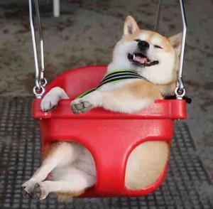 whatsapp绿标认证 whatsapp 聊天内容可以隐藏吗 