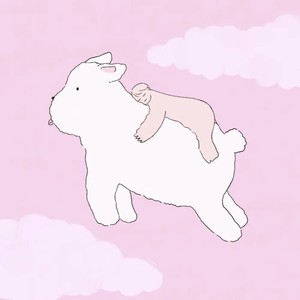 whatsapp 翻译 whatsapp官方电话 whatsapp 翻译 whatsapp官方电话