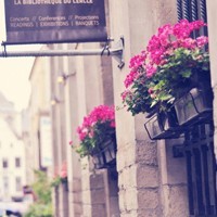 whatsapp绿标认证 whatsapp 聊天内容可以隐藏吗 