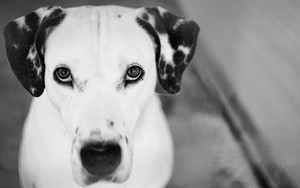 怎么生成whatsapp的二维码 whatsapp网页版安装下载 怎么生成whatsapp的二维码 whatsapp网页版安装下载