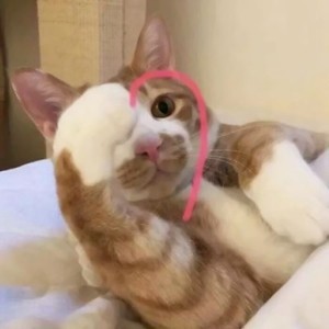 whatsapp 网页版 现在无法连接至新设备 whatsapp 登陆日期不正确 whatsapp 网页版 现在无法连接至新设备 whatsapp 登陆日期不正确