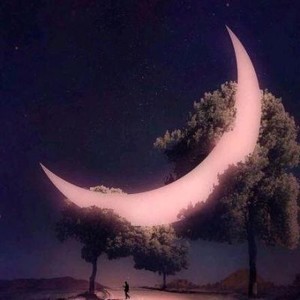 whatsapp网页版共享视频通话 whatsapp网页版电脑版能用吗 