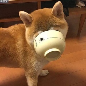 whatsapp网页版字体大小 whatsapp找视频 whatsapp网页版字体大小 whatsapp找视频