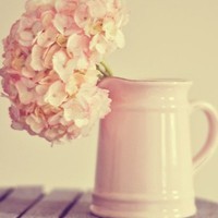 whatsapp网页版为什么不能视频 whatsapp网页版手机版软件 whatsapp网页版为什么不能视频 whatsapp网页版手机版软件