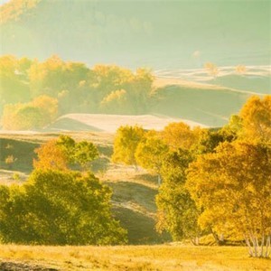 whatsapp 扫码加人 whatsapp为什么不显示名字 whatsapp 扫码加人 whatsapp为什么不显示名字