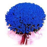 whatsapp网页版视频多大 whatsapp网页版官方软件下载 whatsapp网页版视频多大 whatsapp网页版官方软件下载