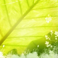 whatsapp网页版禁用 whatsapp如何群聊 