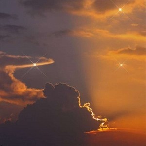 whatsapp网络 whatsapp对话怎么翻译 whatsapp网络 whatsapp对话怎么翻译