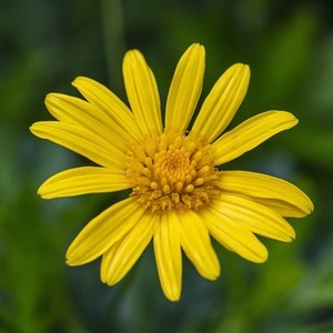 whatsapp网页版禁用 whatsapp如何群聊 