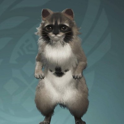 最新whatsapp网页版官网 whatsapp网页版怎么看到好友 