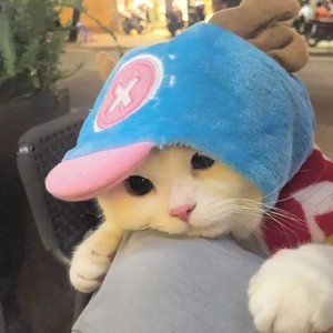 最新whatsapp网页版官网 whatsapp网页版怎么看到好友 