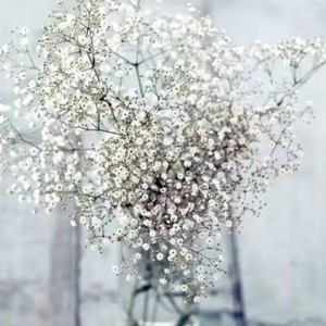 whatsapp网页版在线登陆 whatsapp怎么设置已读消息不可见 whatsapp网页版在线登陆 whatsapp怎么设置已读消息不可见