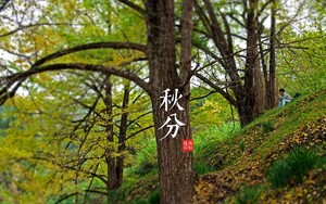 whatsapp网页版在线登陆 whatsapp怎么设置已读消息不可见 whatsapp网页版在线登陆 whatsapp怎么设置已读消息不可见