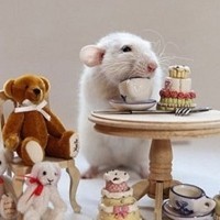 whatsapp网页版在线登陆 whatsapp怎么设置已读消息不可见 whatsapp网页版在线登陆 whatsapp怎么设置已读消息不可见