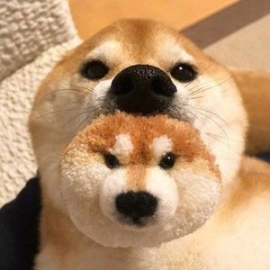 facebook中文官网入口 whatsapp网页版最新版 facebook中文官网入口 whatsapp网页版最新版