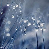 whatsapp网页版在线登陆 whatsapp怎么设置已读消息不可见 whatsapp网页版在线登陆 whatsapp怎么设置已读消息不可见