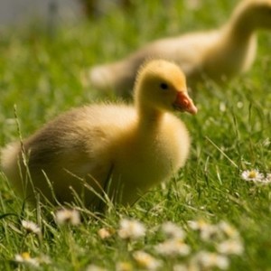 whatsapp二维码生成器 手机whatsapp免费下载 whatsapp二维码生成器 手机whatsapp免费下载