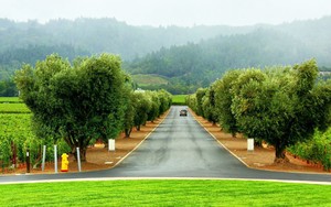 whatsapp网页版怎么下载 使用whatsapp收不到验证码 whatsapp网页版怎么下载 使用whatsapp收不到验证码