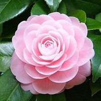 whatsapp界面设置中文的视频教程 whatsapp可以换手机号码 