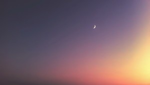 whatsapp 使用什么电邮 whatsapp 官网下载最新版 