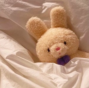 whatsapp 使用什么电邮 whatsapp 官网下载最新版 