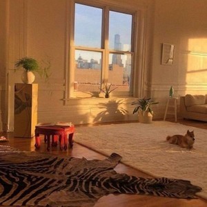 whatsapp 使用什么电邮 whatsapp 官网下载最新版 