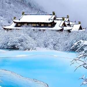 whatsapp网页版怎么封锁通话 为什么登陆不了whatsapp网页版 whatsapp网页版怎么封锁通话 为什么登陆不了whatsapp网页版