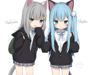 whatsapp网页版怎么封锁通话 为什么登陆不了whatsapp网页版 whatsapp网页版怎么封锁通话 为什么登陆不了whatsapp网页版